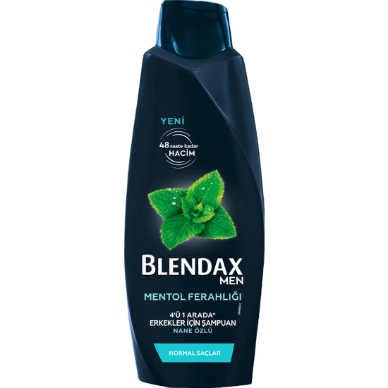 BLENDAX - Blendax Erkekler İçin Mentollü Şampuan 500 Ml