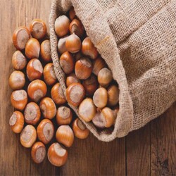 Fındık 1 kg - Thumbnail